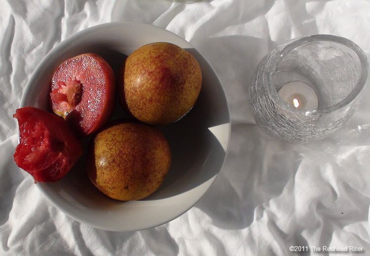 It Is So Sexy Ripe Plums Are Falling